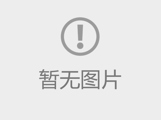 又见端午粽飘香
