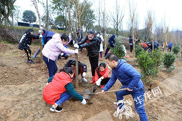 2、义务植树示范活动点共计有500余人参与植树。记者 李文科 摄.jpg
