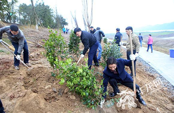 3、本次植树约40亩。记者 李文科 摄.jpg