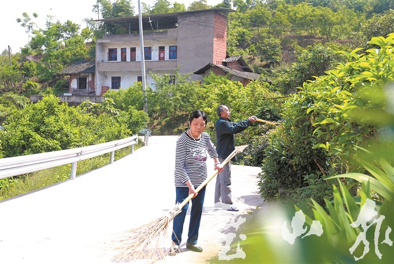 农村人居环境整治进行时七旬老党员领跑人居环境整治河边镇浸口村人居