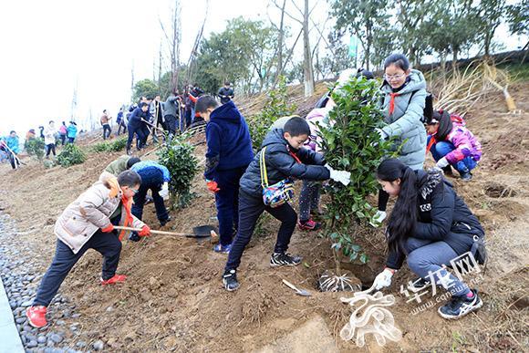4、来自南岸区5所学校的学生参与了义务植树活动。记者 李文科 摄.jpg