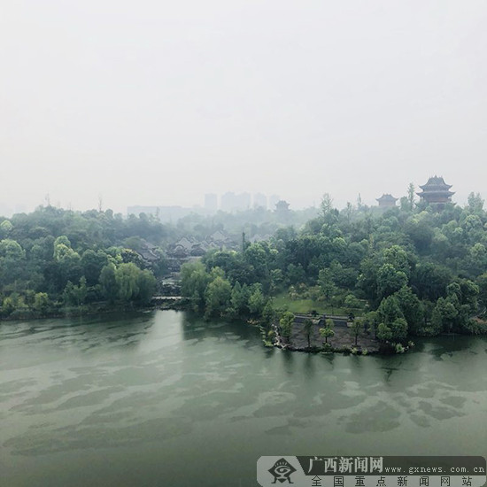 网媒记者走进璧山秀湖公园 烟雨朦胧美如画