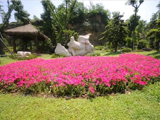星岛公园