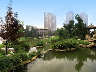 湖上大酒店