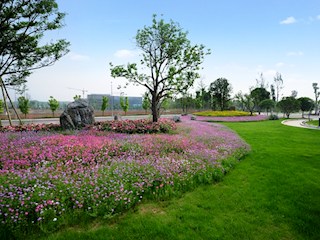 登云公园